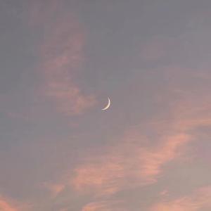 美女黑丝裸腿搞鸡巴
