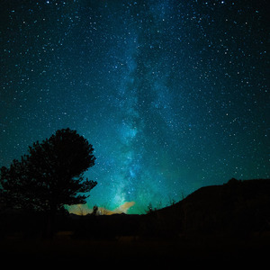 美女黑丝裸腿搞鸡巴
